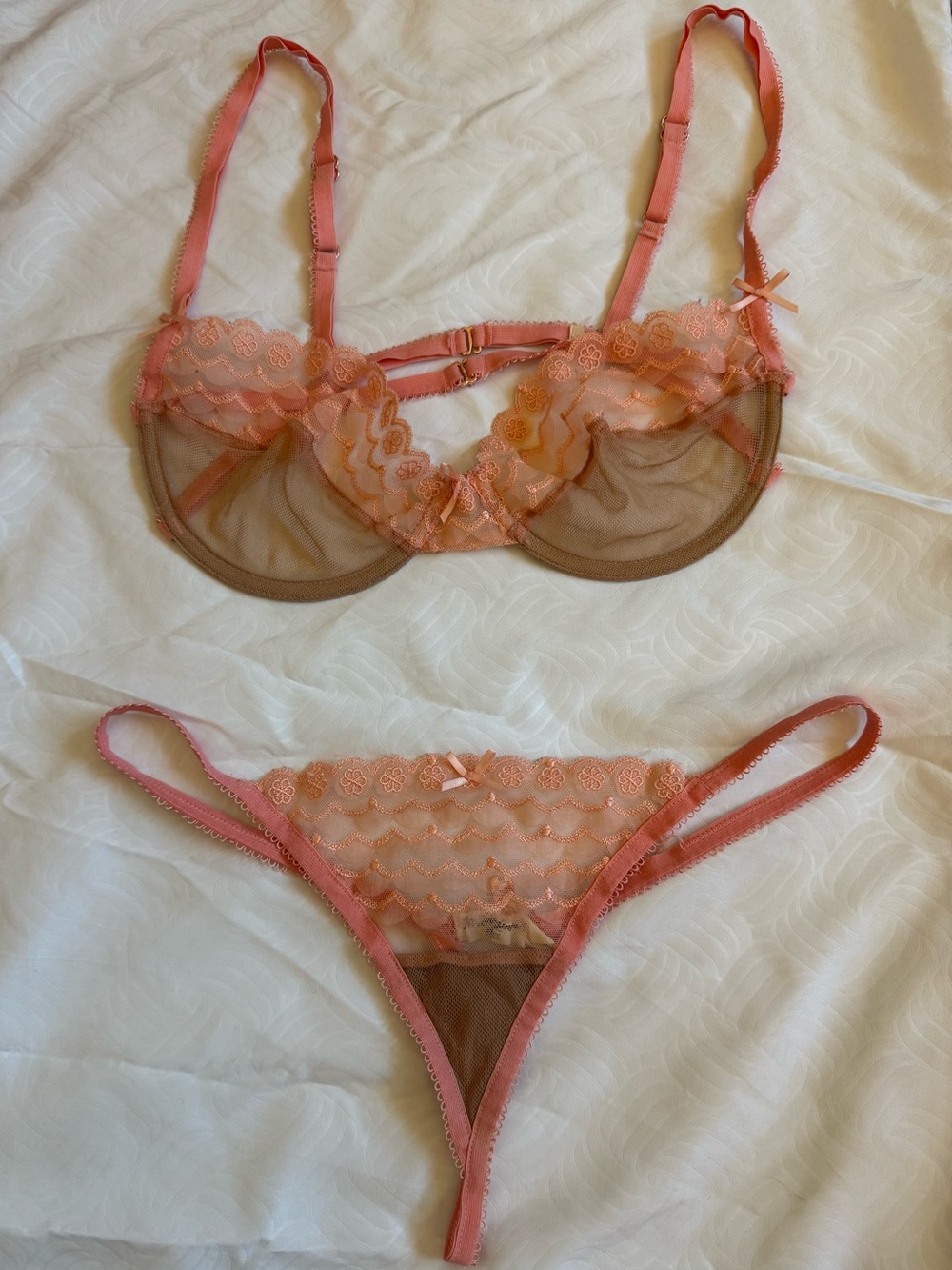 SKIVVIES by For Love & Lemons Pink Sheer Embroidered Bra Thong Set